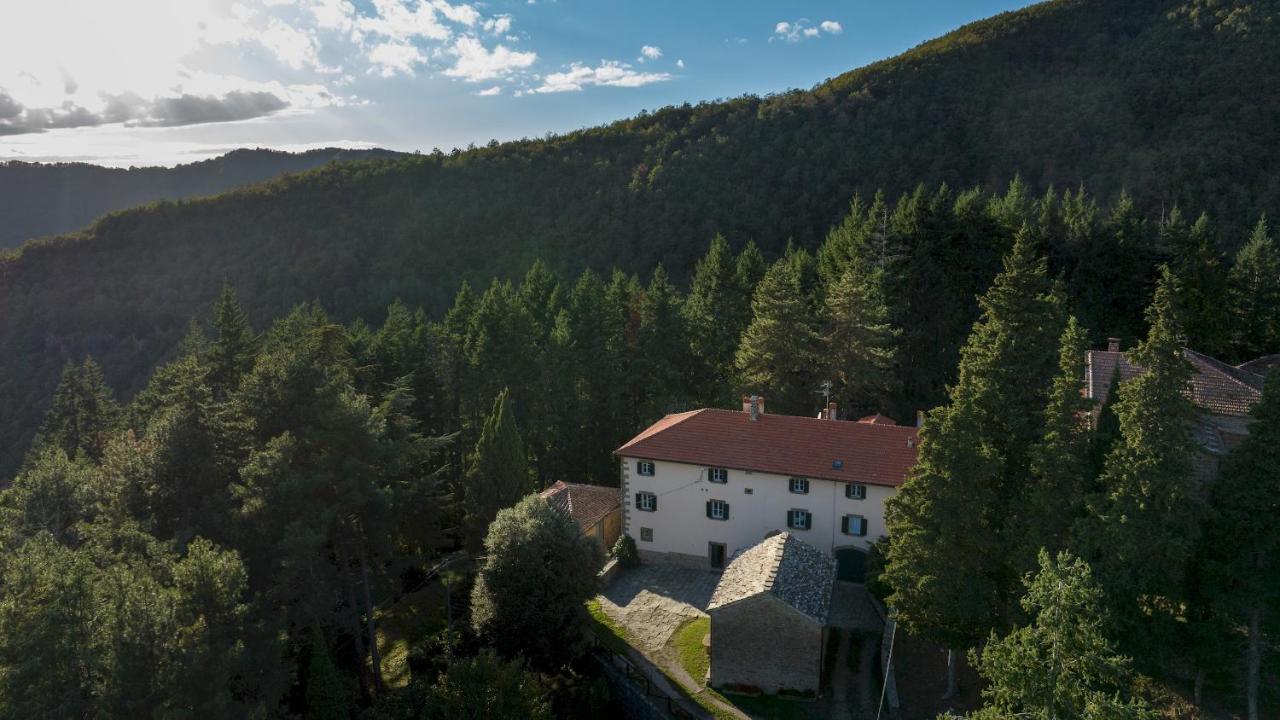 Villa La Rassinata 12, Emma Villas Arezzo Exterior foto